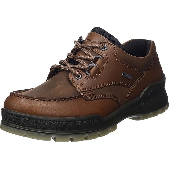 ECCO Men's Track 25 Low Gore-tex Waterproof Hiking Shoe